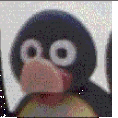 Avatar de Pingu Frentico