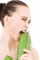 Avatar de cactus555